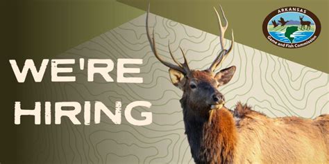 agfc jobs|state of arkansas job listings.